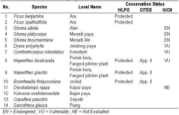 table3 vegetation kb