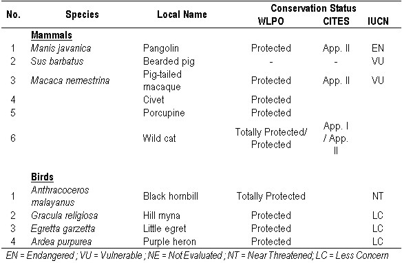 table4 fauna kb